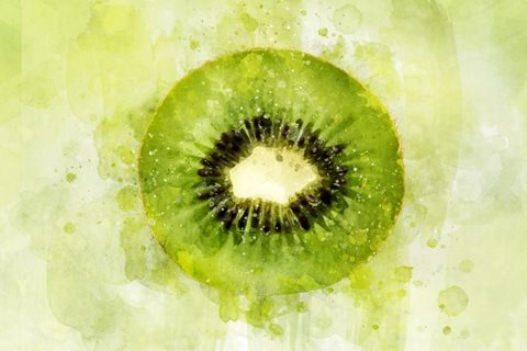 IL KIWI 