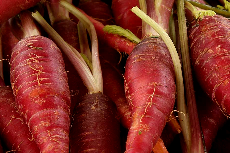 La carota: l'alleata ideale per la tua abbronzatura!