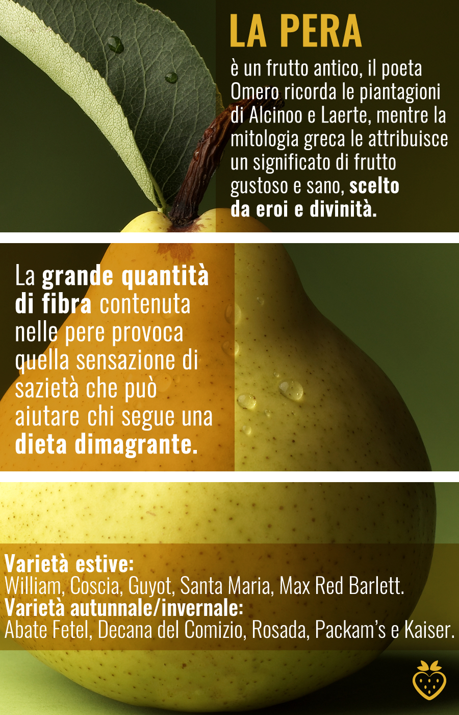info_Pera-(2).jpg