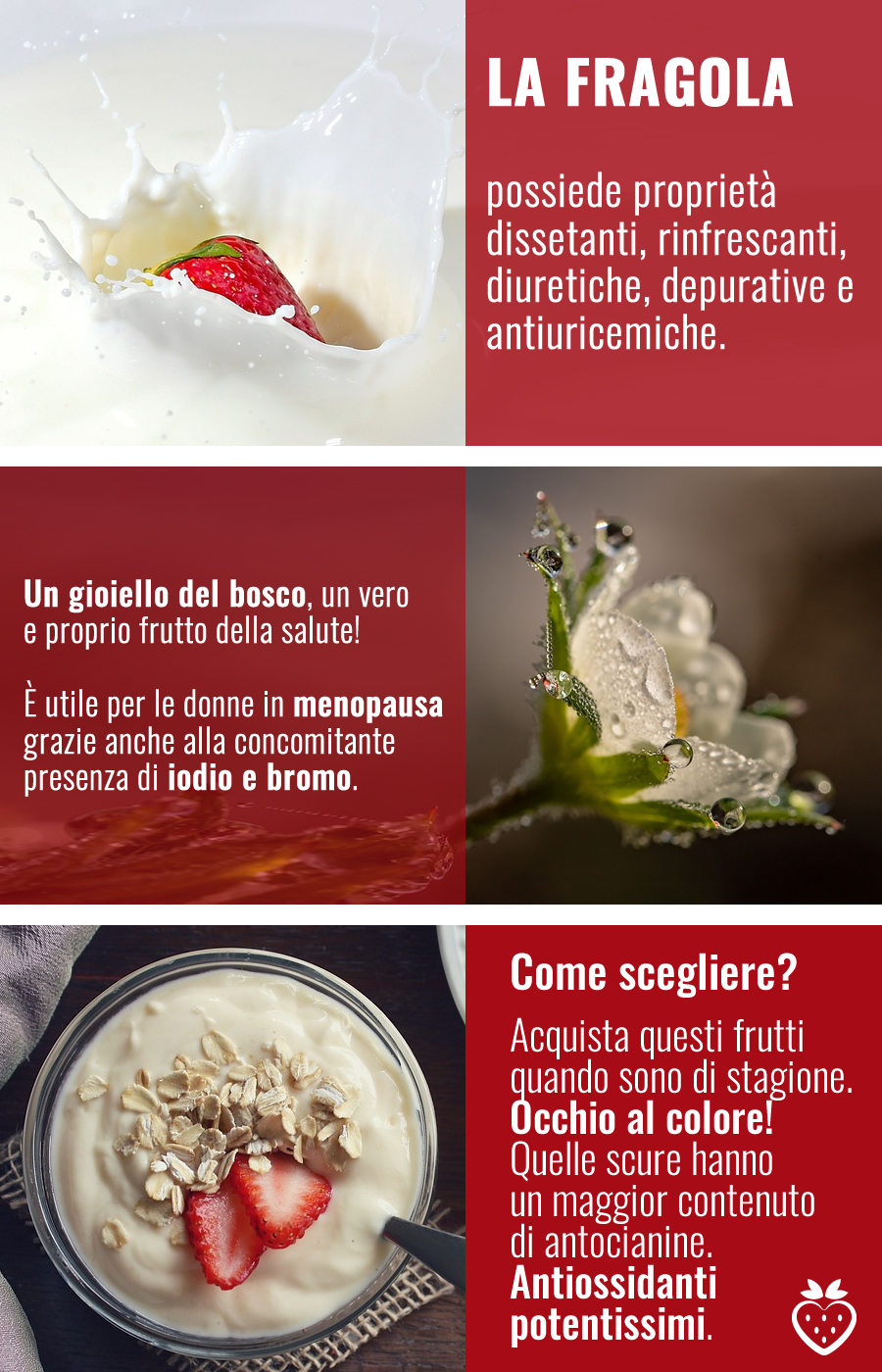 info_fragola.jpg