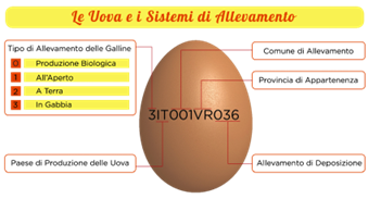 come-scegliere-le-uova-al-supermercato.png